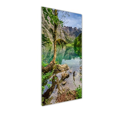 Vertikální Foto obraz skleněný svislý Jezero v horách