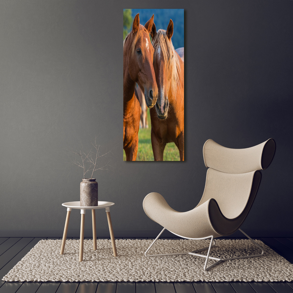 Vertikální Foto obraz sklo tvrzené Koně