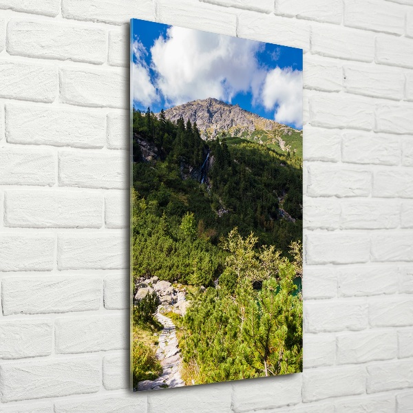 Vertikální Fotoobraz na skle Mořské oko Tatry