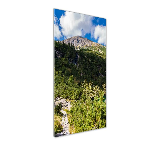 Vertikální Fotoobraz na skle Mořské oko Tatry