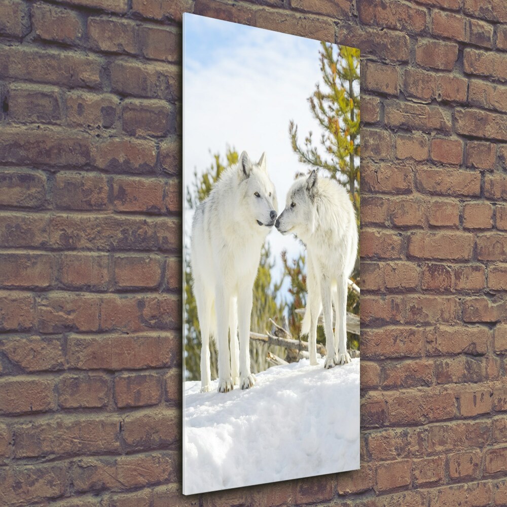 Vertikální Fotoobraz na skle Dva bílí vlci