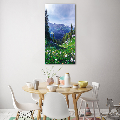 Vertikální Moderní foto obraz na stěnu Alpy