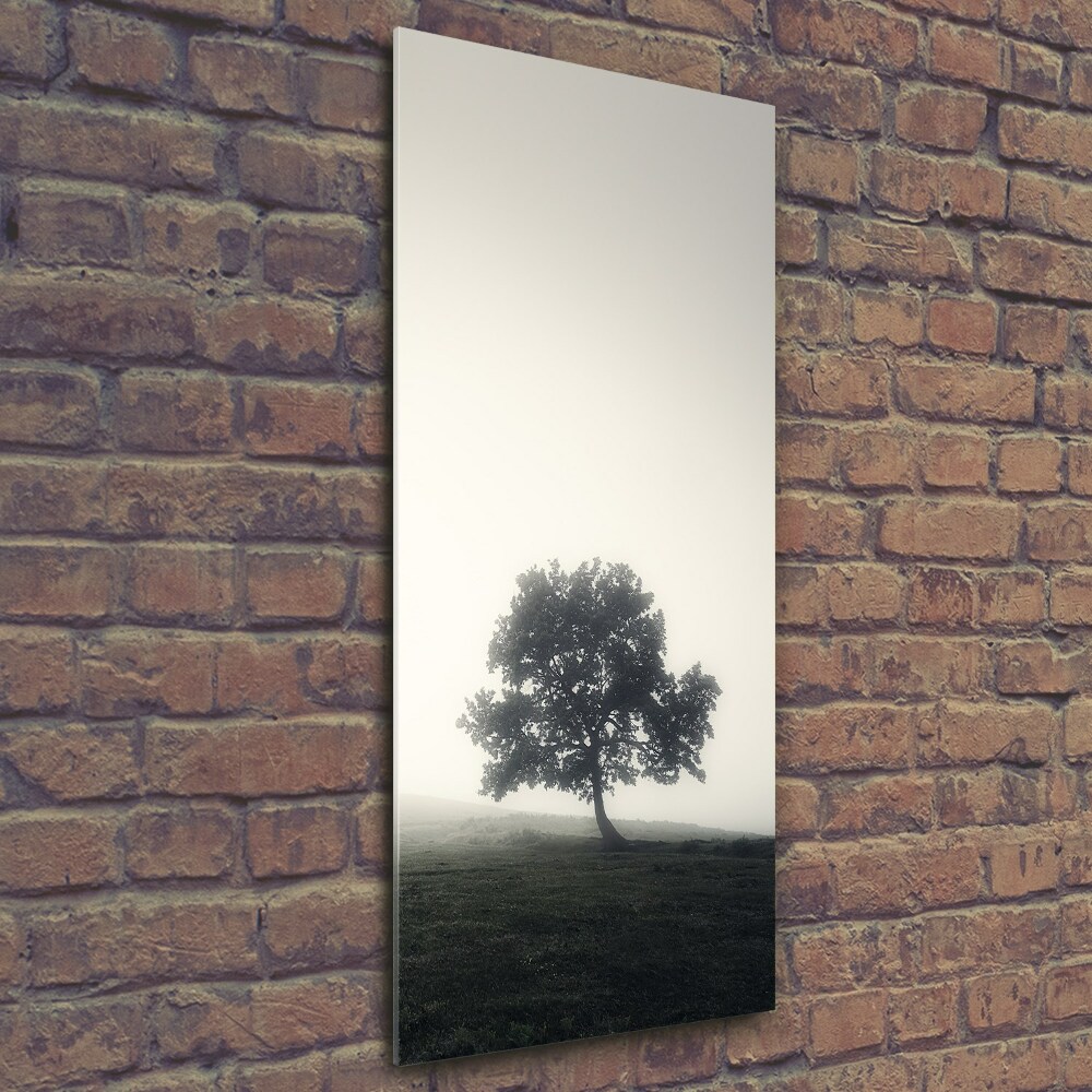Vertikální Foto obraz fotografie na skle Dřevo v mlze