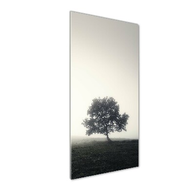 Vertikální Foto obraz fotografie na skle Dřevo v mlze