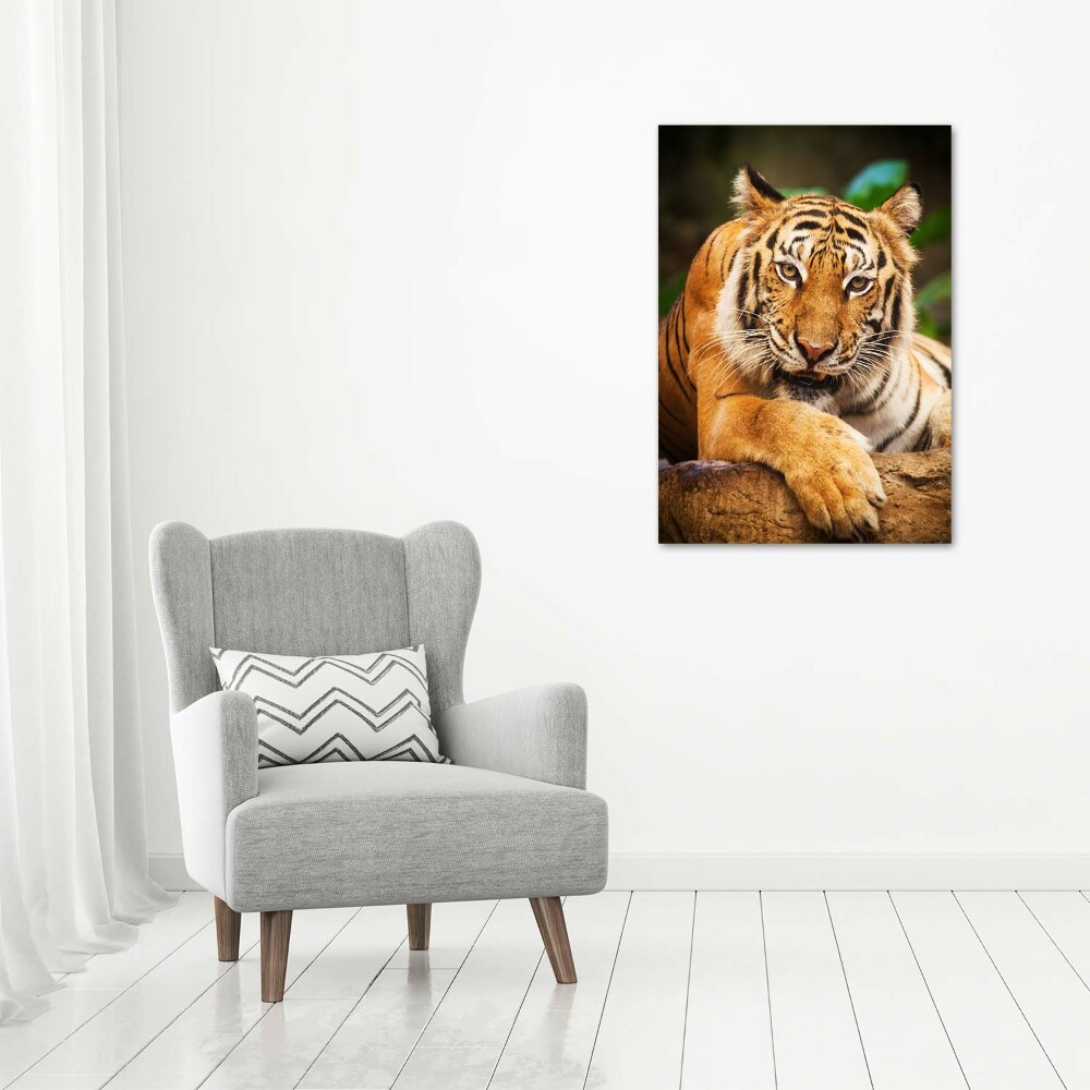Vertikální Foto obraz skleněný svislý Bengálský tygr