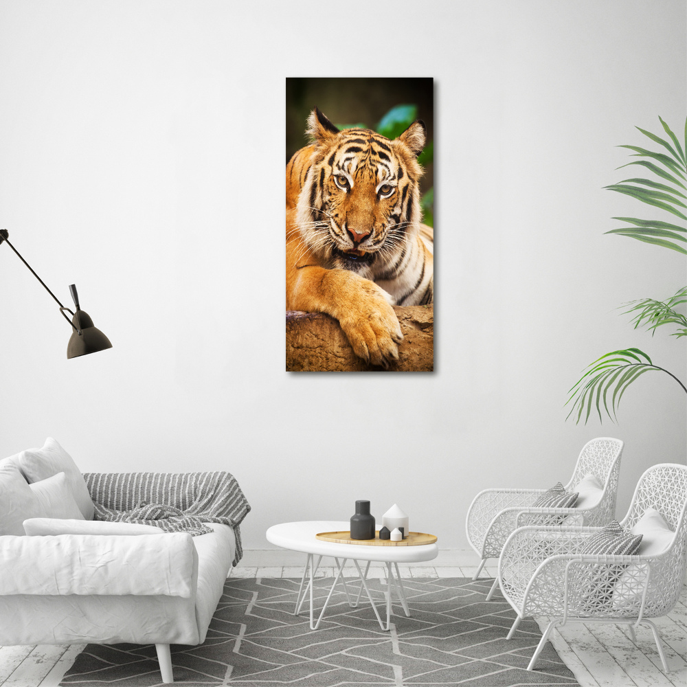 Vertikální Foto obraz skleněný svislý Bengálský tygr