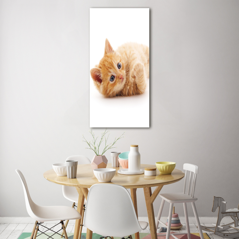 Vertikální Foto obraz sklo tvrzené Malá červená kočka
