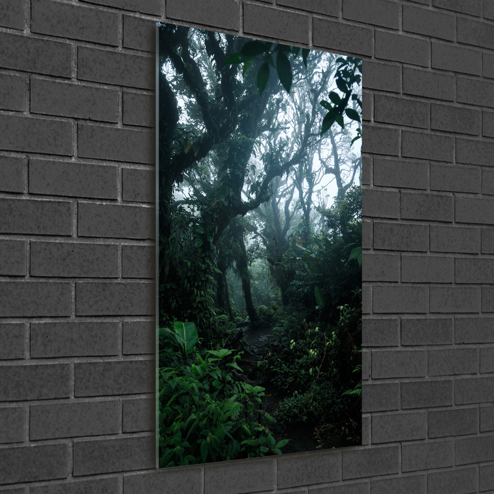 Vertikální Foto obraz sklo tvrzené Deštný prales
