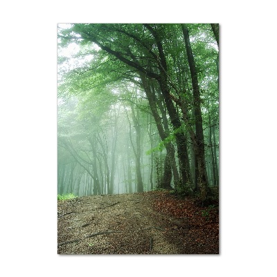 Vertikální Foto obraz sklo tvrzené Mlha v lese