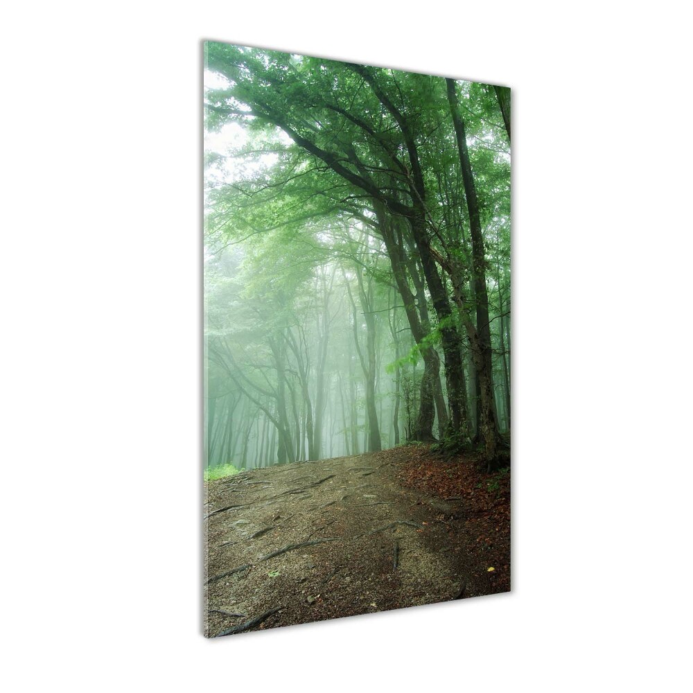 Vertikální Foto obraz sklo tvrzené Mlha v lese