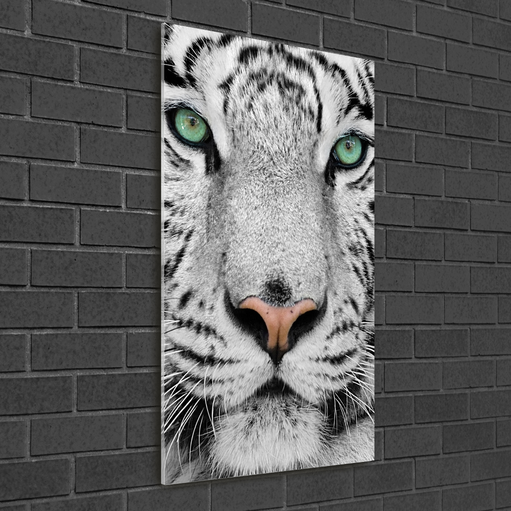 Vertikální Foto obraz sklo tvrzené Bílý tygr