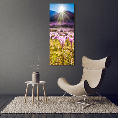 Vertikální Foto obraz skleněný svislý Šafrán v horách