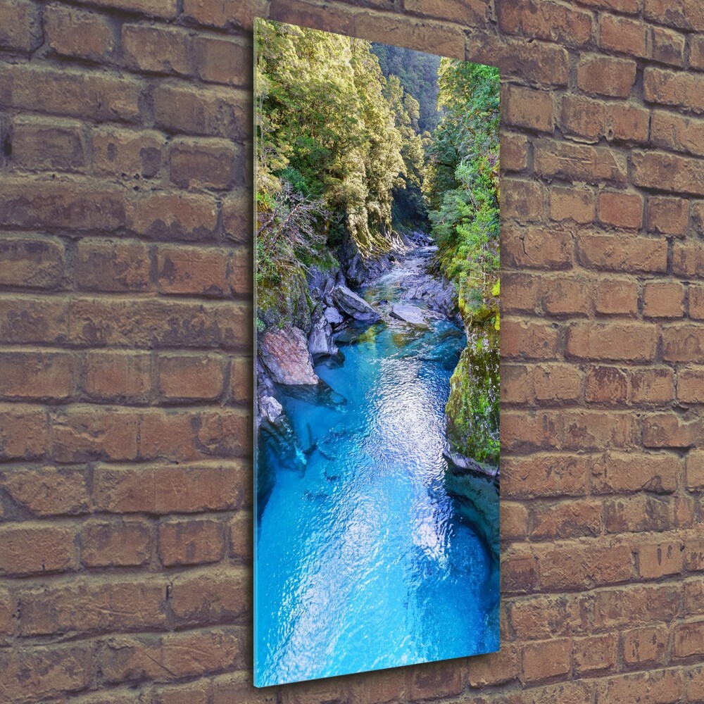 Vertikální Foto obraz sklo tvrzené Řeka v lese