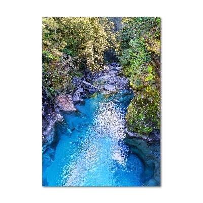 Vertikální Foto obraz sklo tvrzené Řeka v lese