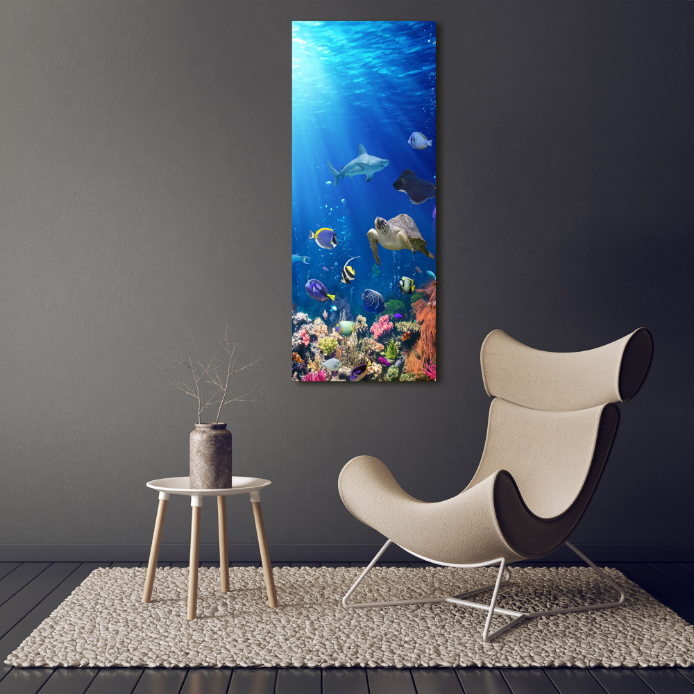 Vertikální Foto obraz sklo tvrzené Korálový útes