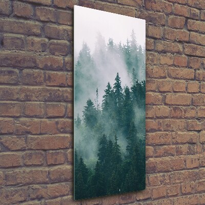 Vertikální Foto obraz fotografie na skle Mlha nad lesem