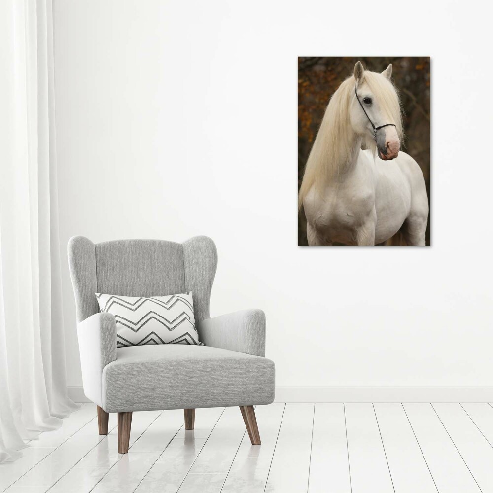 Vertikální Foto obraz sklo tvrzené Bílý kůň