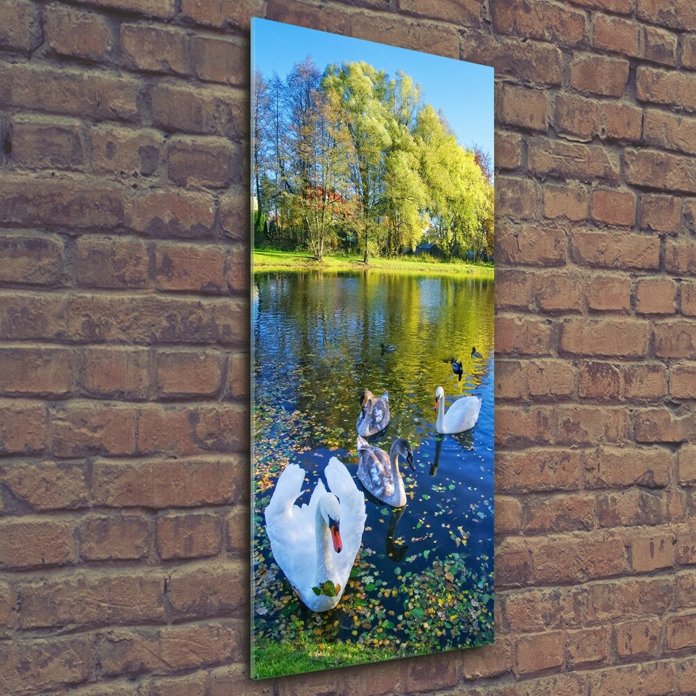 Vertikální Fotoobraz na skle Labutě na jezeře