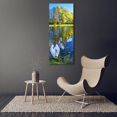 Vertikální Fotoobraz na skle Labutě na jezeře