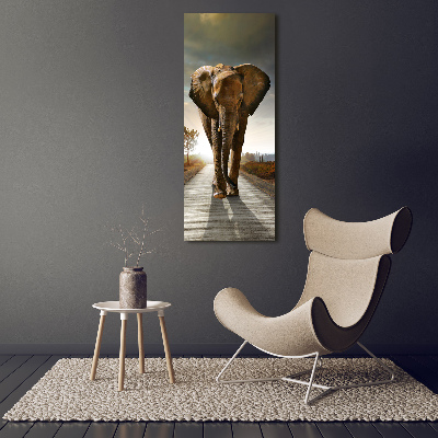 Vertikální Foto obraz skleněný svislý Chodící slon
