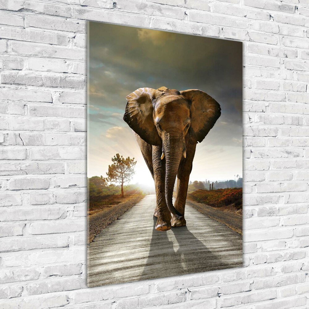 Vertikální Foto obraz skleněný svislý Chodící slon