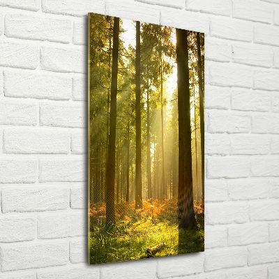 Vertikální Foto obraz sklo tvrzené Hezký les