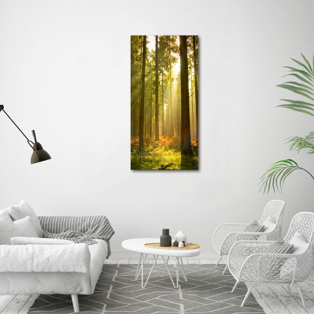 Vertikální Foto obraz sklo tvrzené Hezký les