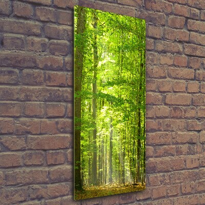 Vertikální Foto obraz sklo tvrzené Bukový les