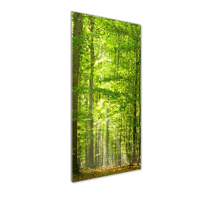 Vertikální Foto obraz sklo tvrzené Bukový les