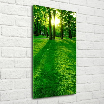 Vertikální Foto obraz fotografie na skle Slunce v parku