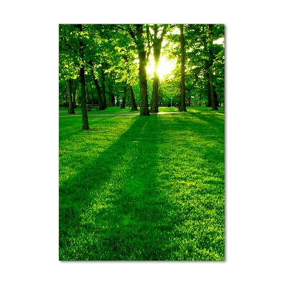 Vertikální Foto obraz fotografie na skle Slunce v parku