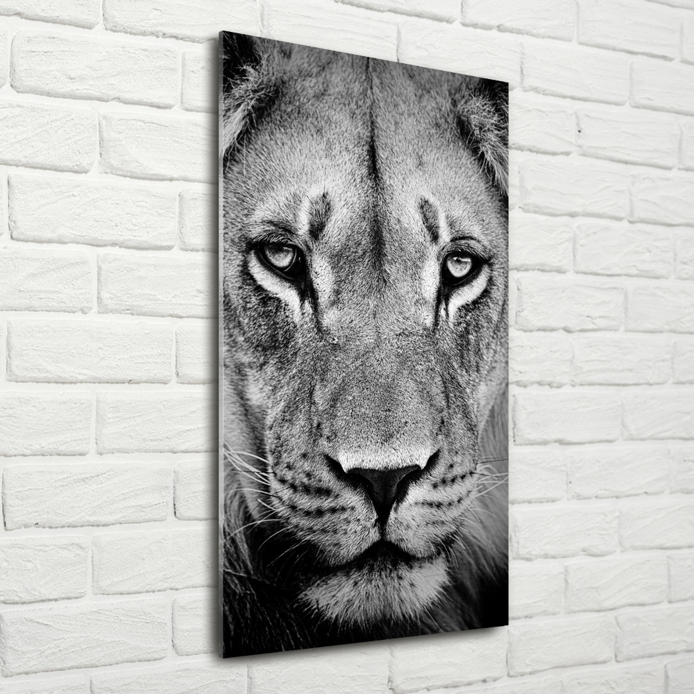 Vertikální Foto obraz sklo tvrzené Portrét lva