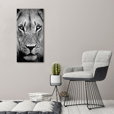 Vertikální Foto obraz sklo tvrzené Portrét lva