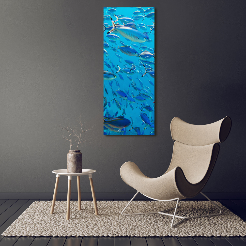 Vertikální Foto obraz sklo tvrzené Korálové ryby