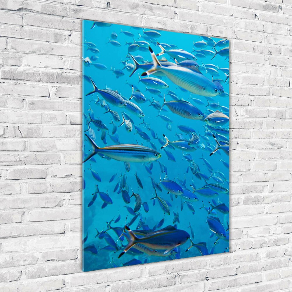 Vertikální Foto obraz sklo tvrzené Korálové ryby