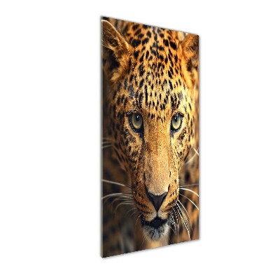 Vertikální Foto-obraz fotografie na skle Leopard