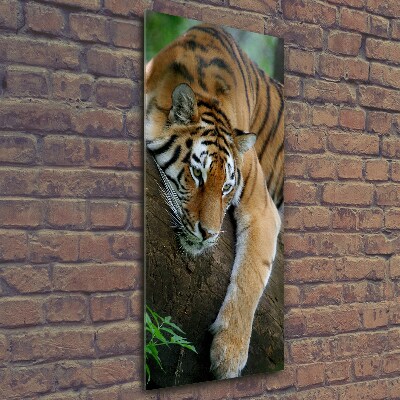 Vertikální Fotoobraz na skle Tygr na stromě