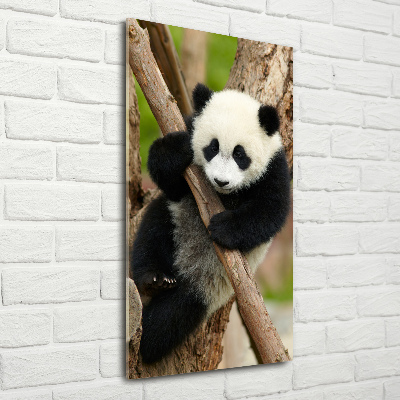 Vertikální Foto obraz skleněný svislý Panda na stromě