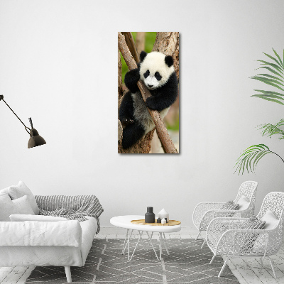 Vertikální Foto obraz skleněný svislý Panda na stromě