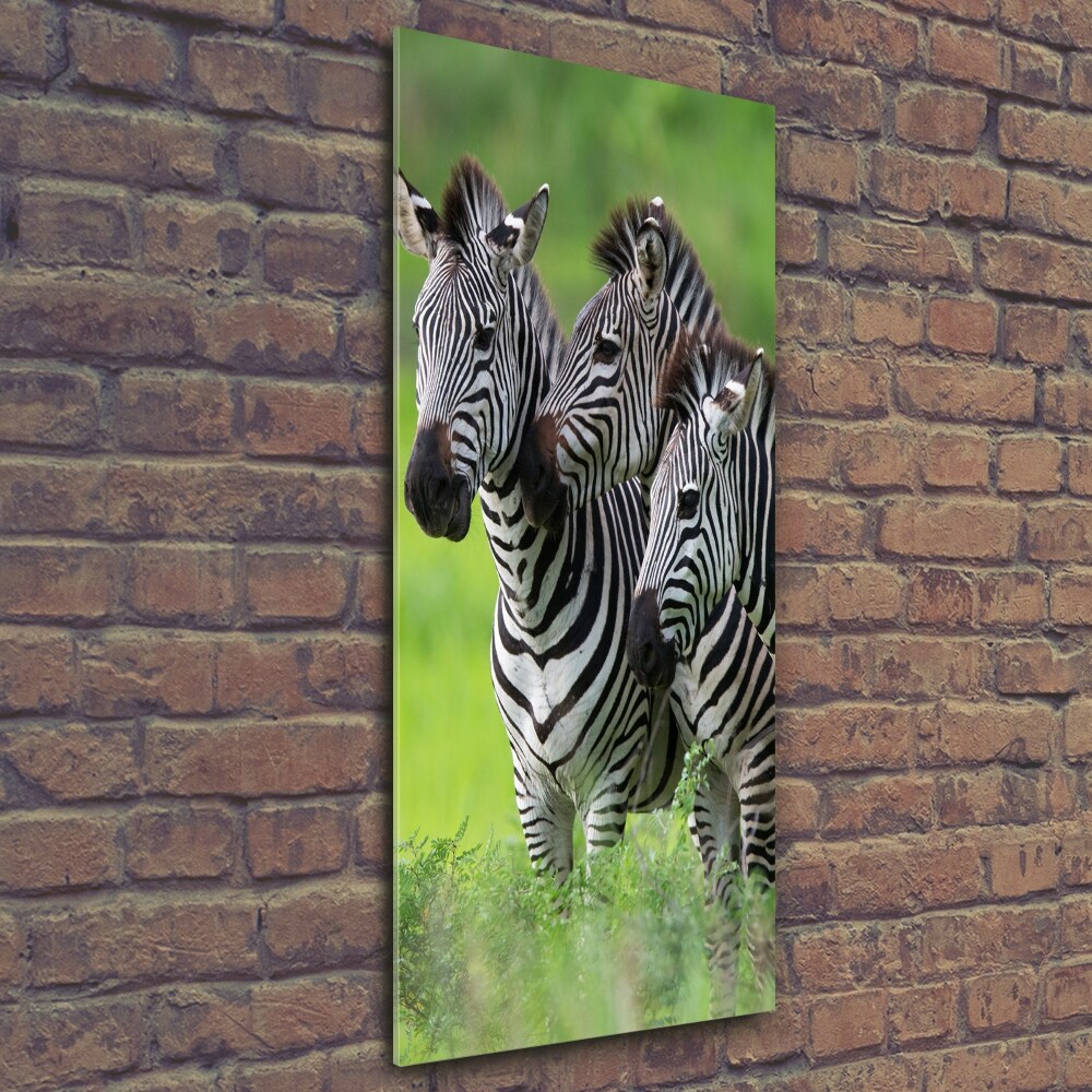 Vertikální Foto obraz sklo tvrzené Tři zebry