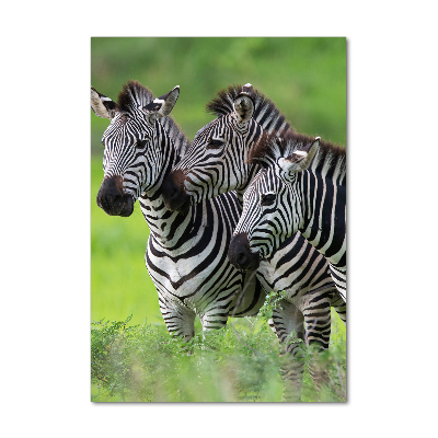 Vertikální Foto obraz sklo tvrzené Tři zebry