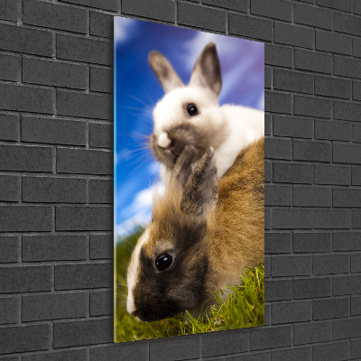 Vertikální Foto obraz sklo tvrzené Dva králíci