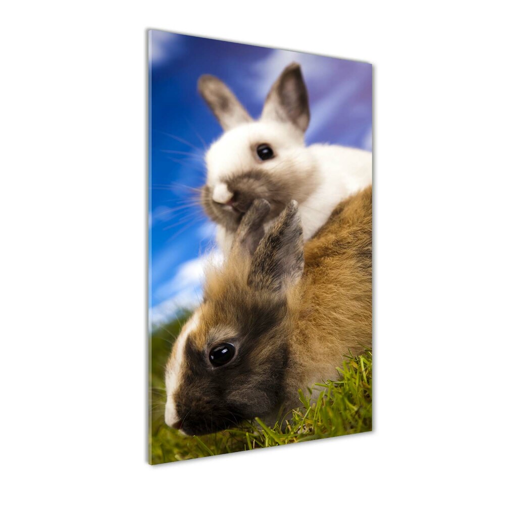 Vertikální Foto obraz sklo tvrzené Dva králíci