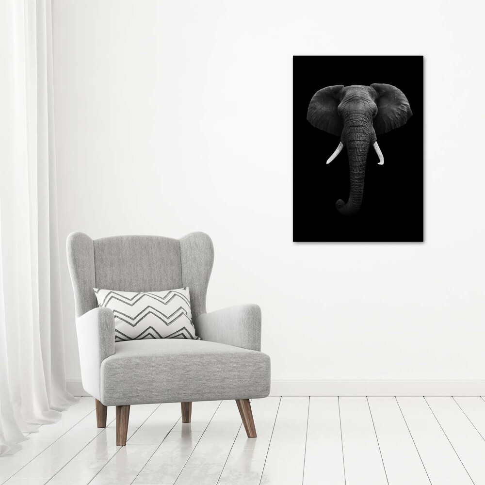 Vertikální Fotoobraz na skle Africký slon
