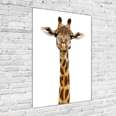 Vertikální Moderní skleněný obraz z fotografie Žirafa