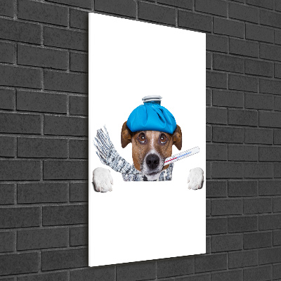 Vertikální Foto obraz sklo tvrzené Nemocný pes