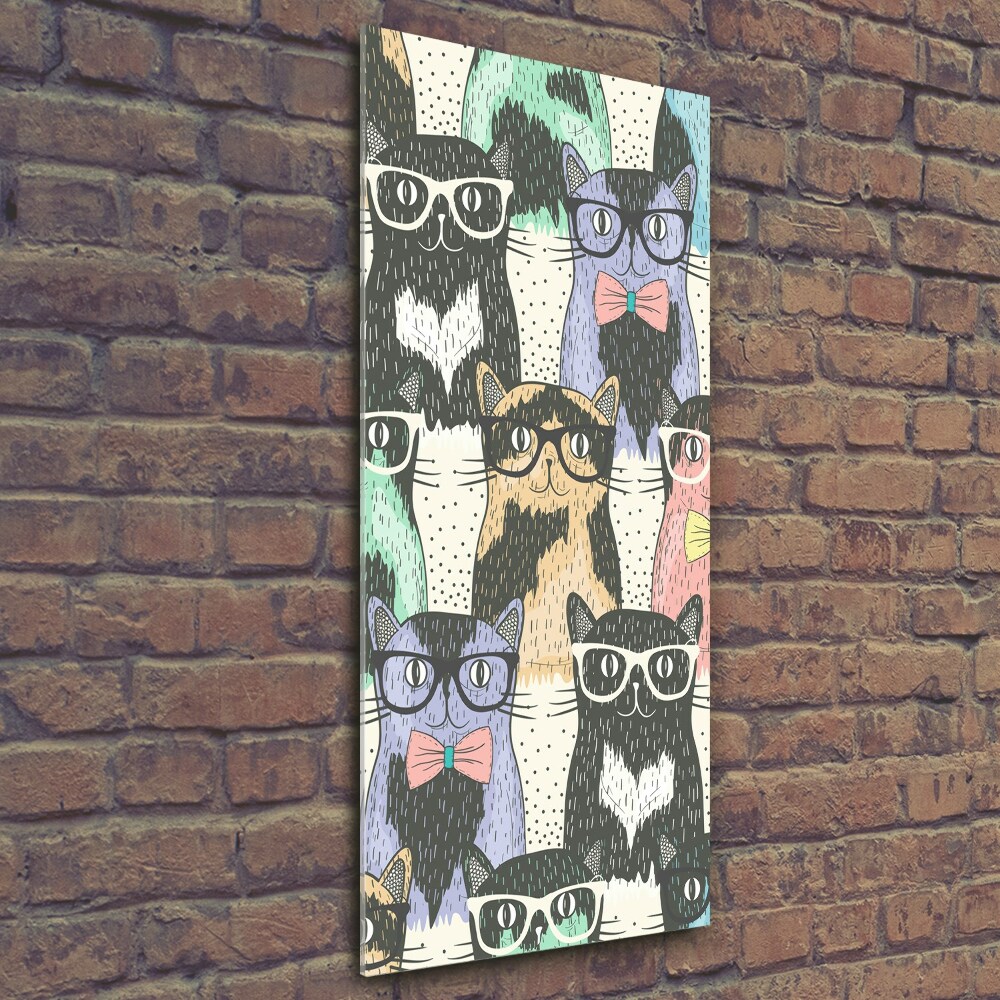 Vertikální Foto obraz skleněný svislý Kočky v brýlích