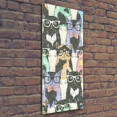 Vertikální Foto obraz skleněný svislý Kočky v brýlích