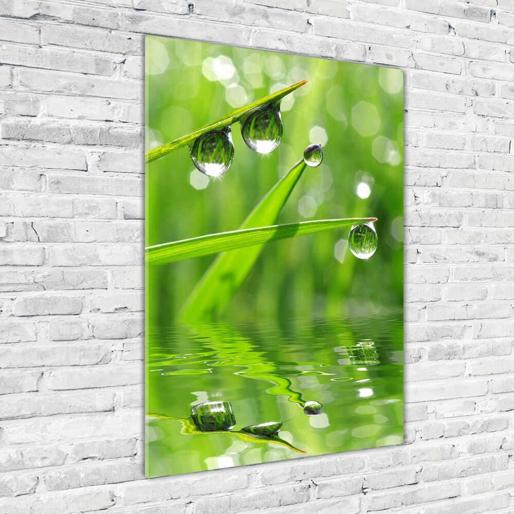 Vertikální Foto obraz sklo tvrzené Stéblo trávy