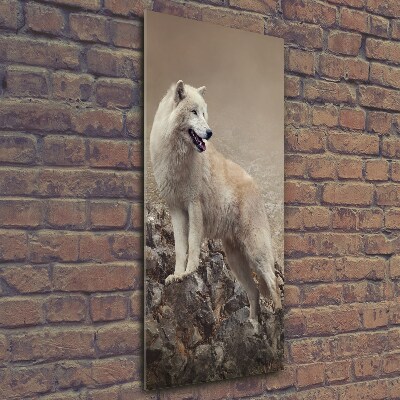 Vertikální Foto obraz sklo tvrzené Vlk na skále